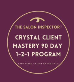 The Salon Inspector™️