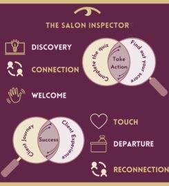 The Salon Inspector™️