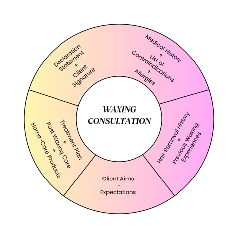 Marta Zaczkowska, Waxing Consultation Donut Chart